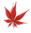 leaf_06_10_03.png